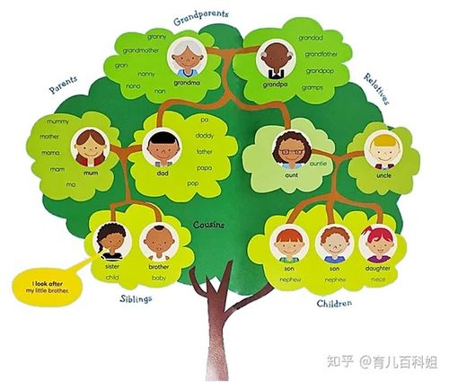 在学习英语的同时,顺便了解一些生活常识.