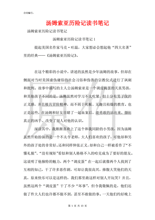 汤姆索亚历险记读书笔记.docx 13页