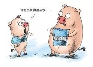 瘦肉精太可怕了!洛江人如何才能避免吃上瘦肉精