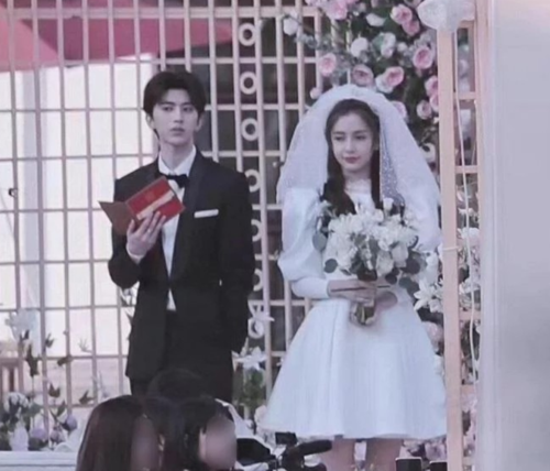 杨颖,蔡徐坤,瓷娃娃