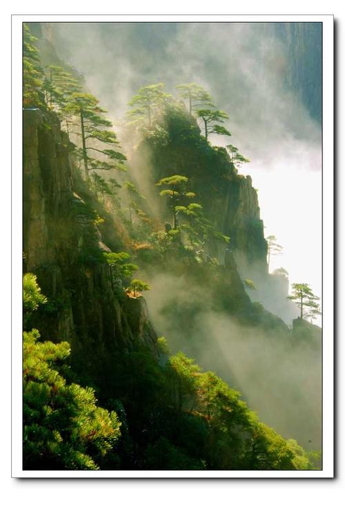 【黄山四绝摄影图片】黄山风景区风光旅游摄影