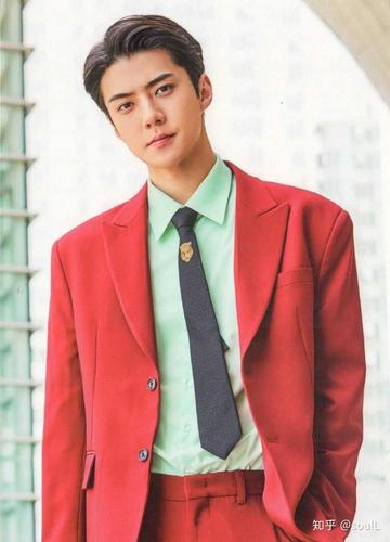 有没有exo五巡的红西装图片?