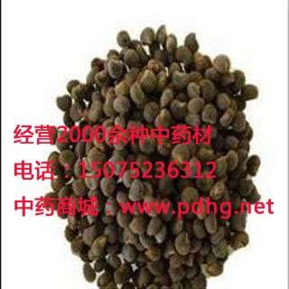 黄蜀葵子,黄葵子,黄秋葵子,中药材为锦葵科植物黄蜀葵