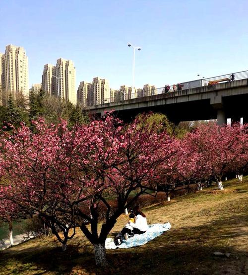 合肥匡河公园