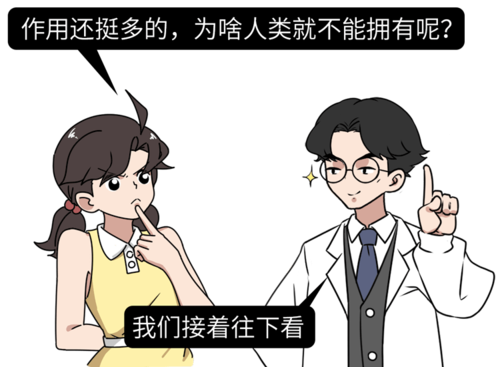 为啥人类的丁丁没有骨头解密