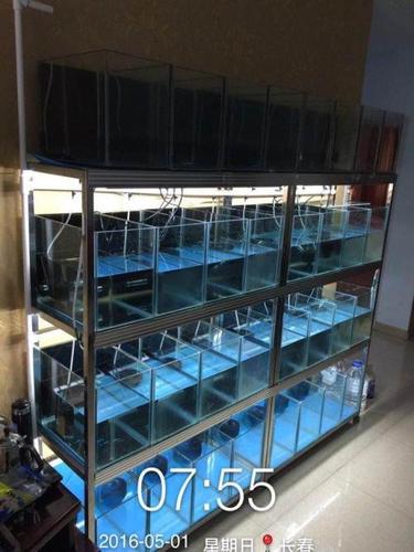 养鱼2组组缸出售