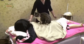 按摩萌宠魔性萌萌哒gif动图_动态图_表情包下载_soogif