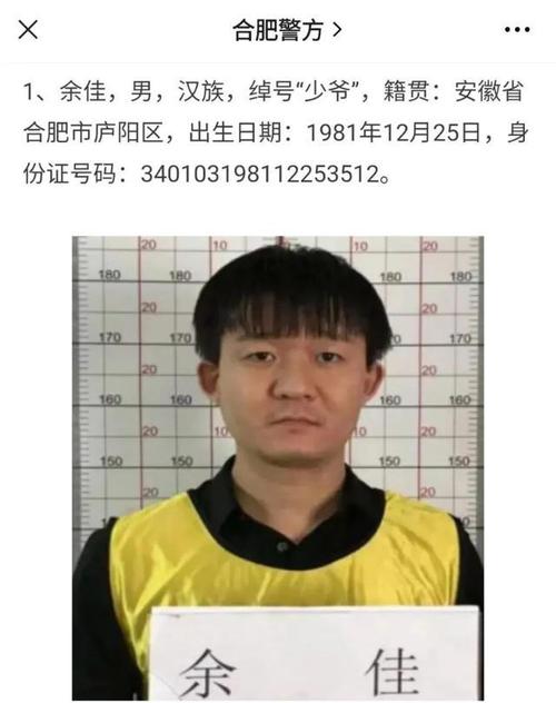 通告显示,余佳,男,汉族,绰号"少爷",籍贯:安徽省合肥市庐阳区,出生