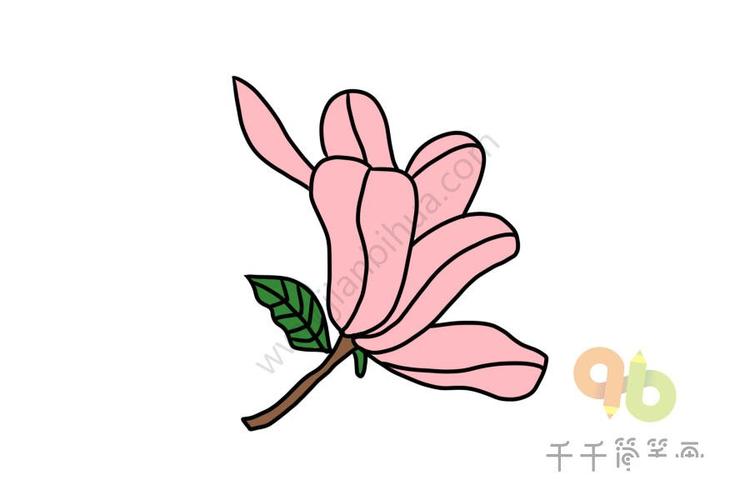 花朵简笔画 鲜艳的木兰花简笔画 木兰花简笔画怎么画,木兰花是一种