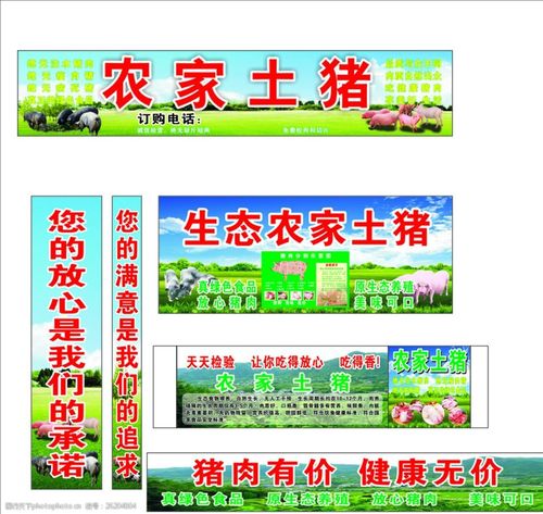 关键词:农家土猪 招牌 黑猪 猪肉 包柱 柱 海报      绿色 广告设计