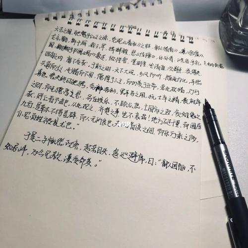 手抄上林赋_我的日常_文化_书法