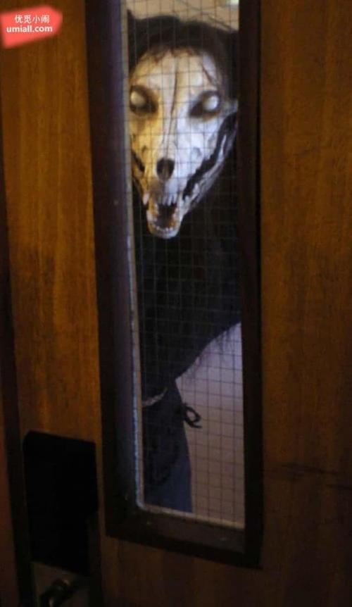 6. 如果在窗户上看到这张脸,我会想要晕倒