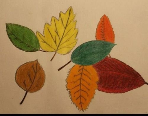 酒都幼儿园亲子作业之绘画小能手《画树叶》