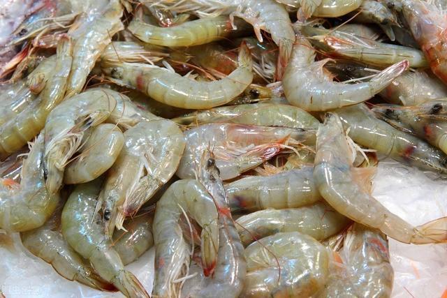 弧菌弧菌又是弧菌对虾养殖杀不死弧菌怎么办
