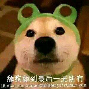 舔狗舔到最后一无所有