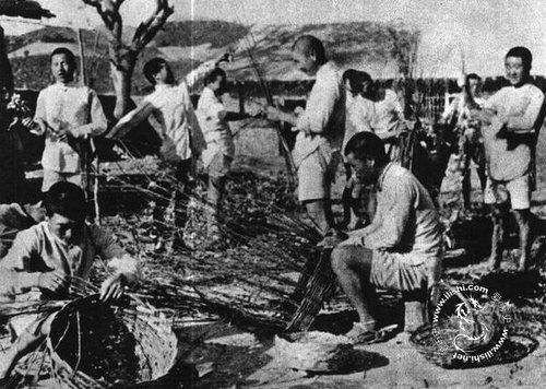 三五九旅与南泥湾屯垦