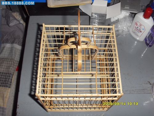 一次性筷子做简单鸟笼