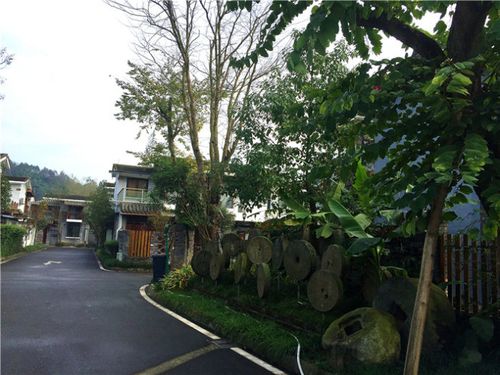 11.29幸福公社参观考察纪实|幸福御业