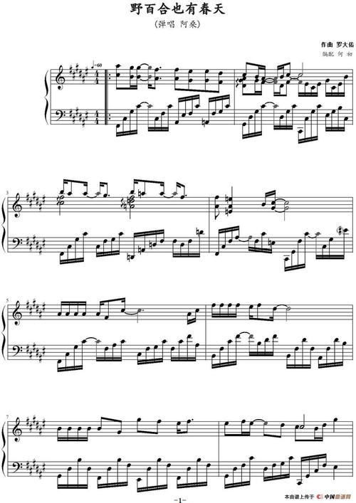 曲谱名:野百合也有春天(何初编配版)钢琴谱