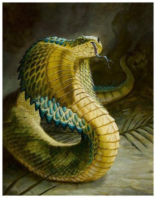 640_813 竖版 竖屏