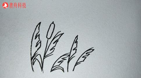 【爱上简笔画】二十四节气·白露