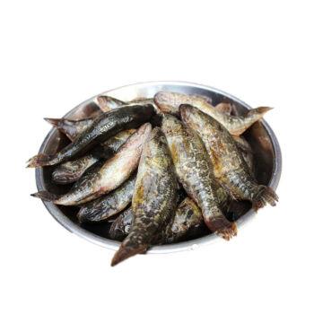 老头鱼黑龙江特产淡水鱼大头鱼东北鲜活新鲜山胖头食用小杂鱼昌盛隆