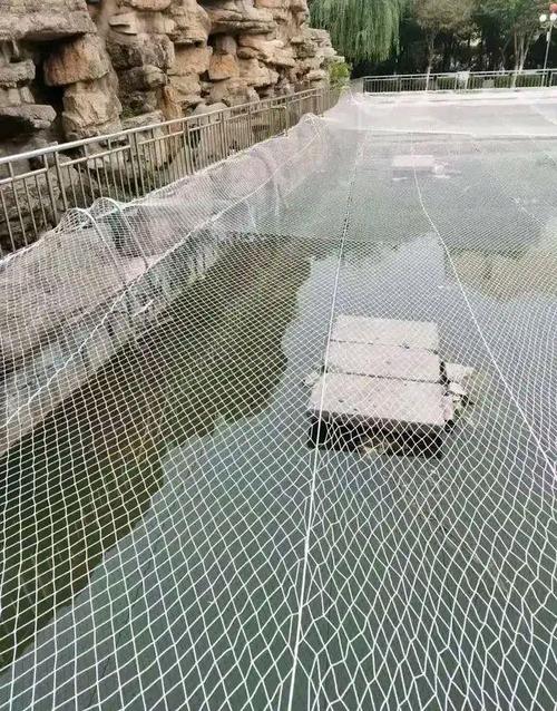 给小区水池加个罩,能不能预防溺水事故?