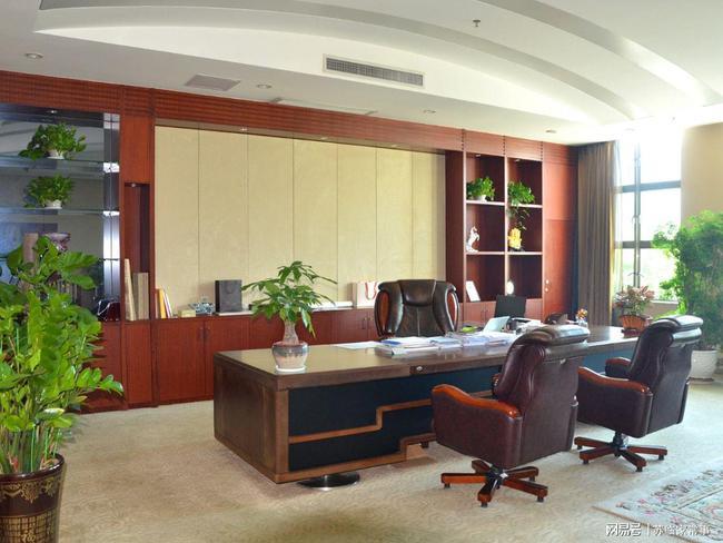 老板办公室的绿植该如何摆放,有什么禁忌