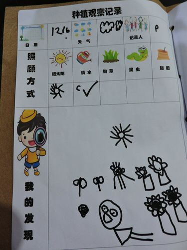 沫江中心幼儿园种植观察记录萌翻啦