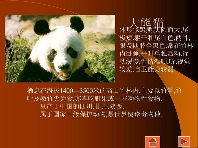 我国特有的珍稀动物ppt