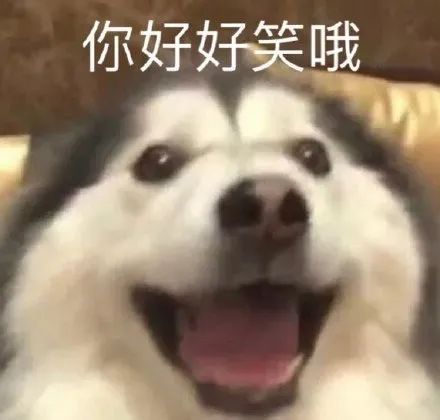 表情包|狗狗 大家听我说! 我们都是狗!