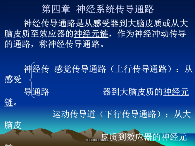 第四章 神经系统传导通路.ppt