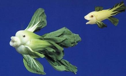 水果蔬菜表情造型大pk