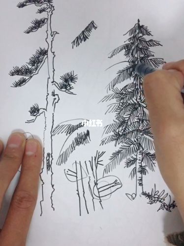 各类松树画法_风景_风景速写_文化_绘画