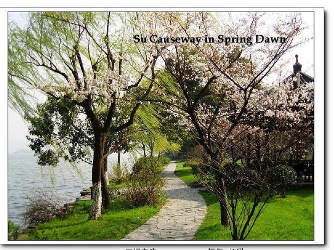 su causeway in spring dawn