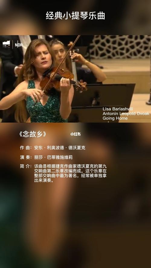 德沃夏克最经典的旋律《念故乡》_小提琴_小提琴大师