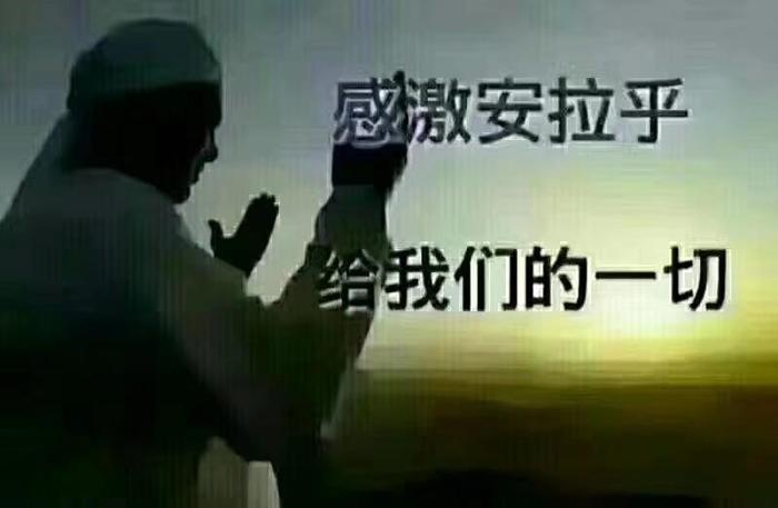 赛俩目问候大家,阿米乃!