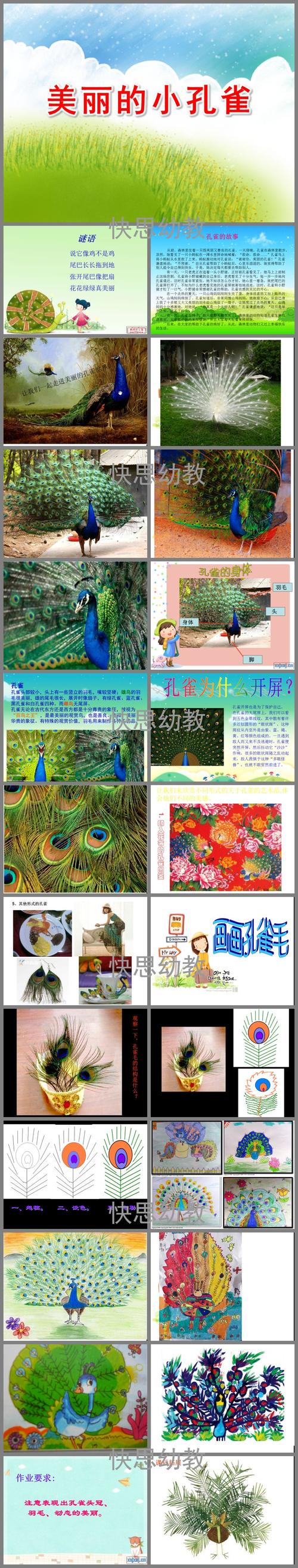 大班舞蹈欣赏《美丽的小孔雀》ppt课件教案