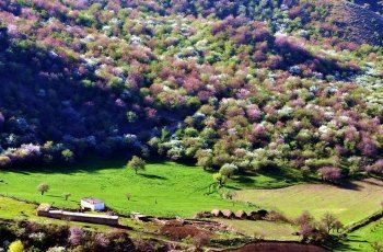 庙尔沟,哈密庙尔沟攻略/地址/图片/门票【携程攻略】