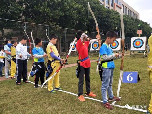 市青少年射箭锦标赛收弓,我镇获团体总分第三名