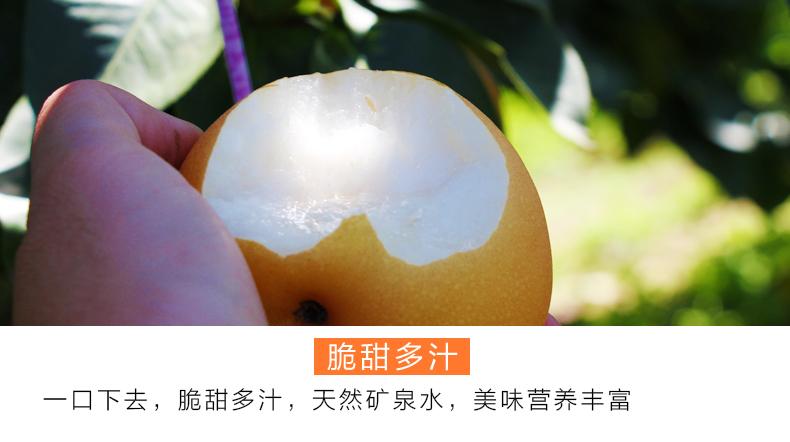 品质保障正宗羊脂秋月梨礼盒装山东莱阳冰糖梨日本老树品种雪花丰水蜜