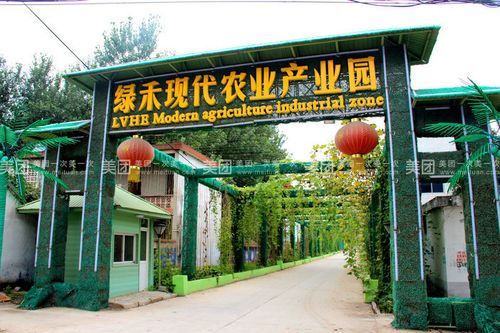 【北京绿禾生态园团购】绿禾生态园天香一号甜瓜采摘