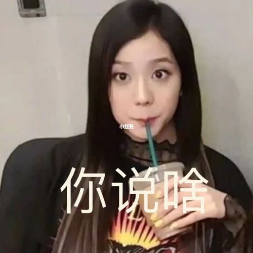 jisoo 表情包_表情包_jisoo_素材_表情包