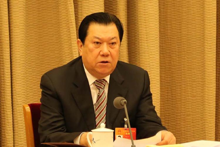 全国人大代表,新疆维吾尔自治区人大常委会主任乃依木·亚森