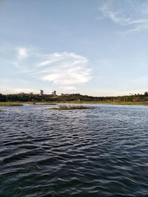 浪漫草海风景区