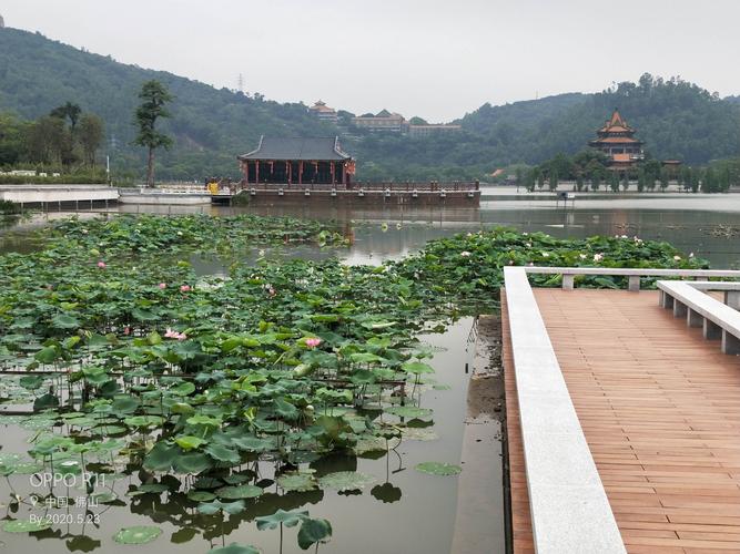 乐游顺德凤城(一)【顺峰山公园】
