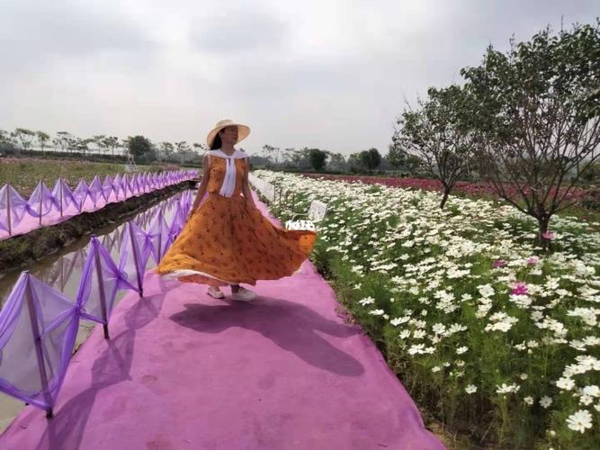 仙眷花洲海纳花海花境之美_花海_风景_旅途中的美景_出行_人文风光