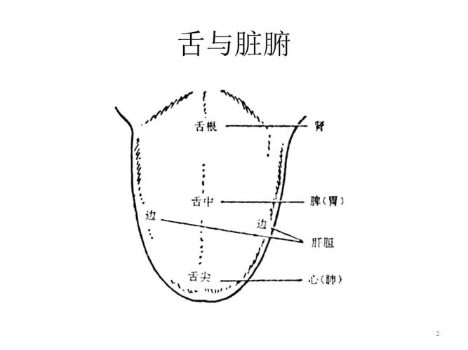 临床各种舌相大全图片详尽幻灯片ppt