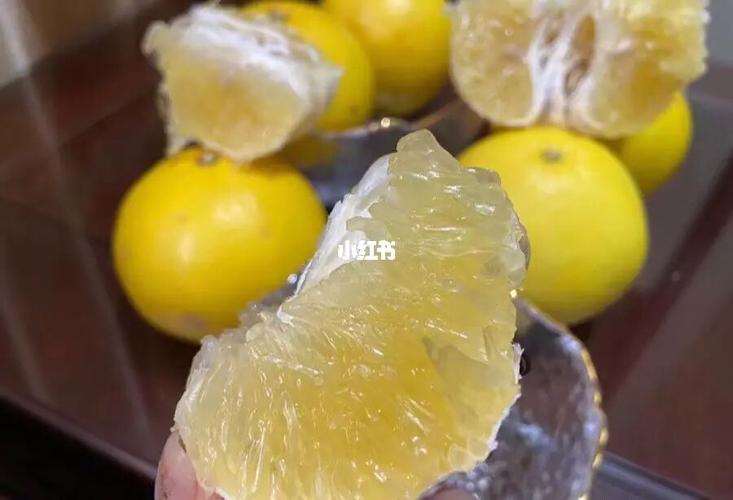 黄金葡萄柚_葡萄柚_黄金_水果_美食_美食展示_食材展示