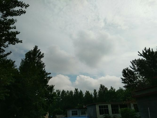 河南省周口市沈丘县238省道靠近东王口天气预报